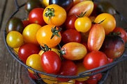 Tomato-rainbow cherry